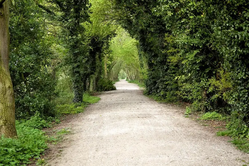 The common and countryside paths around the pub